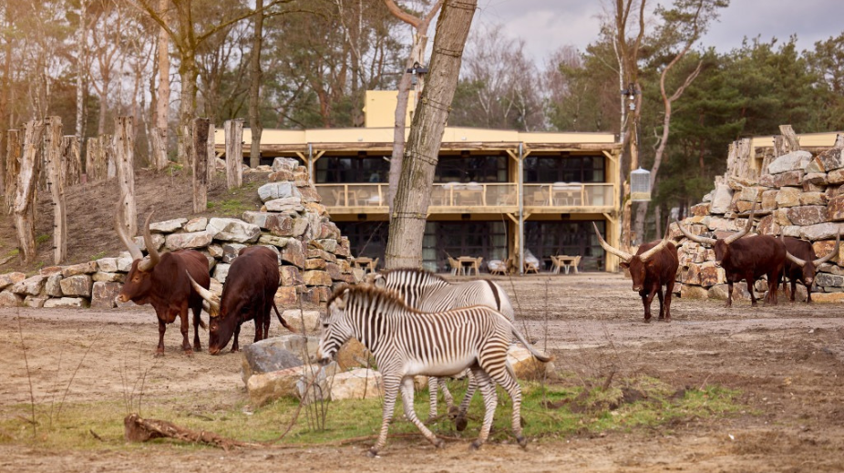 safari hotel beekse bergen vacatures